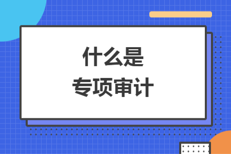 什么是专项审计