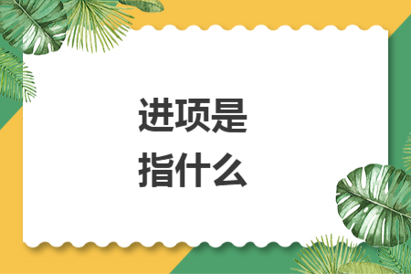 进项是指什么