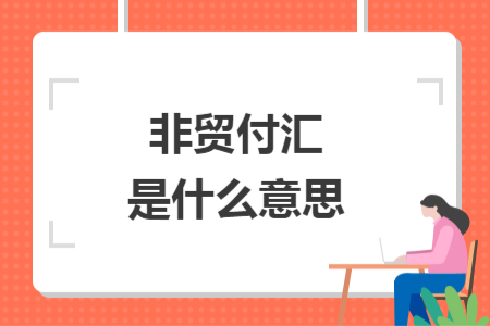 非贸付汇是什么意思