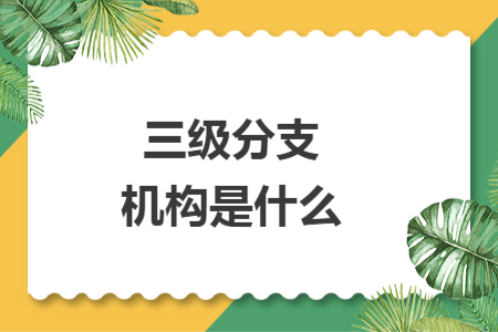 三级分支机构是什么