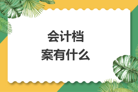 会计档案有什么