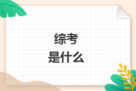 综考是什么