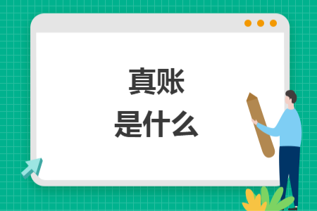 真账是什么