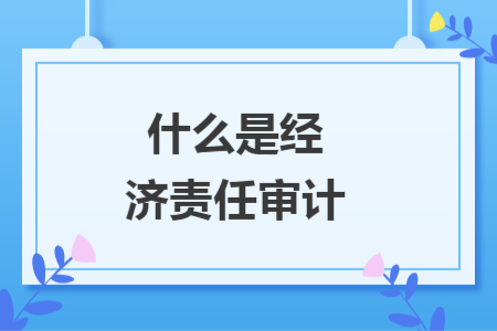 什么是经济责任审计
