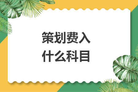 策划费入什么科目