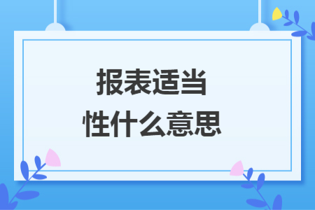 报表适当性什么意思
