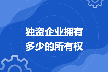 独资企业拥有多少的所有权