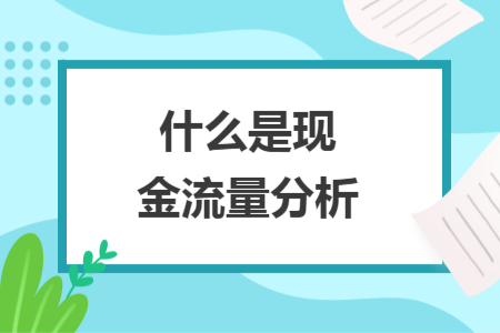 什么是现金流量分析