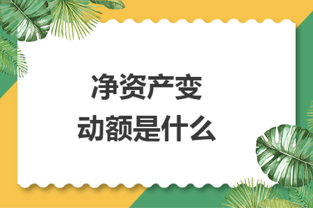 净资产变动额是什么