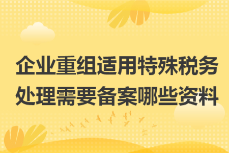 企业重组适用特殊税务处理需要备案哪些资料
