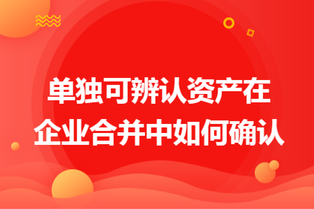 单独可辨认资产在企业合并中如何确认