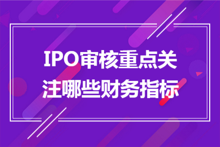 IPO审核重点关注哪些财务指标