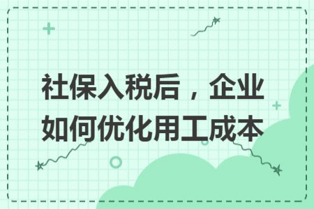 社保入税后，企业如何优化用工成本