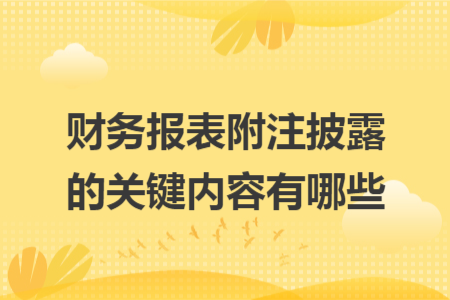 财务报表附注披露的关键内容有哪些