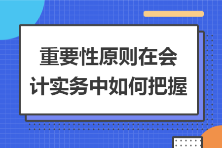 重要性原则在会计实务中如何把握