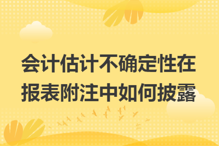 会计估计不确定性在报表附注中如何披露