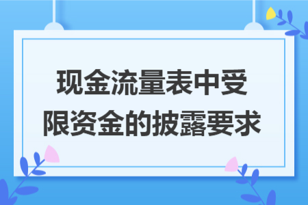 现金流量表中受限资金的披露要求