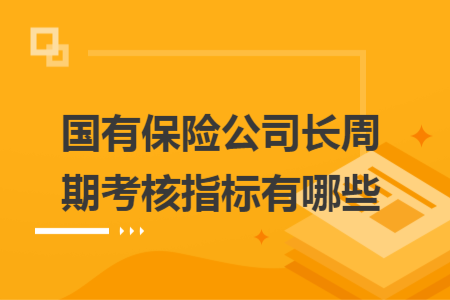 国有保险公司长周期考核指标有哪些