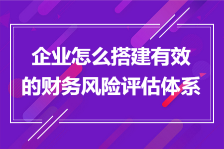 企业怎么搭建有效的财务风险评估体系