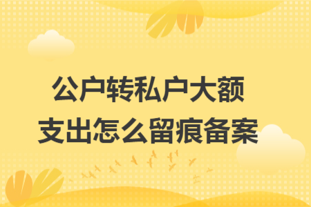 公户转私户大额支出怎么留痕备案