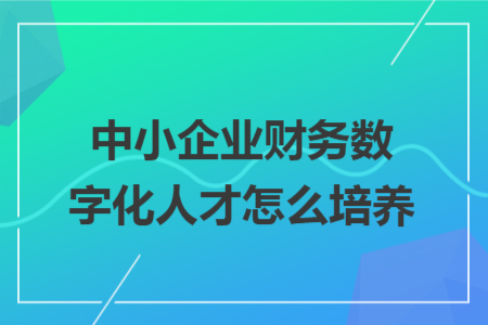 中小企业财务数字化人才怎么培养
