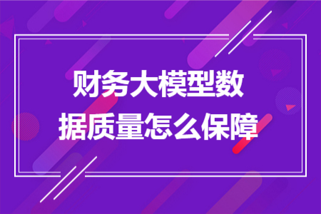 财务大模型数据质量怎么保障