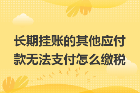 长期挂账的其他应付款无法支付怎么缴税