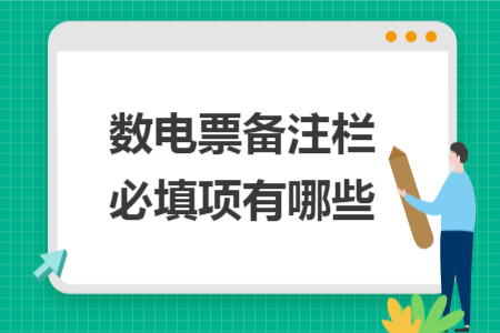 数电票备注栏必填项有哪些