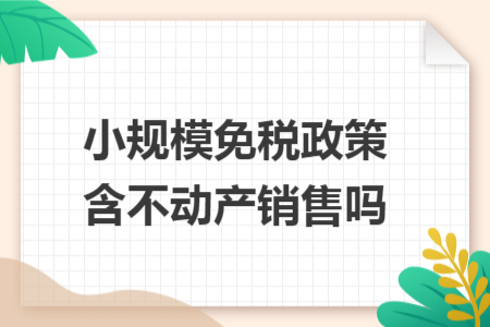 小规模免税政策含不动产销售吗
