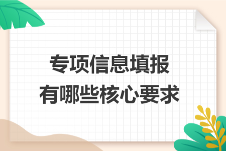 专项信息填报有哪些核心要求