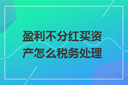 盈利不分红买资产怎么税务处理 盈利不分红买资产怎么税务处理