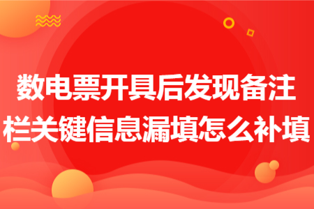 数电票开具后发现备注栏关键信息漏填怎么补填 数电票开具后发现备注栏关键信息漏填怎么补填