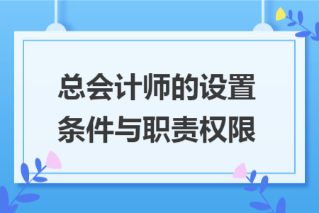 总会计师的设置条件与职责权限