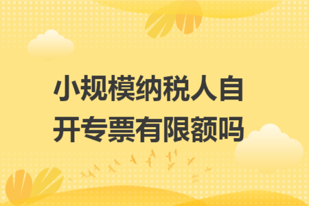 小规模纳税人自开专票有限额吗