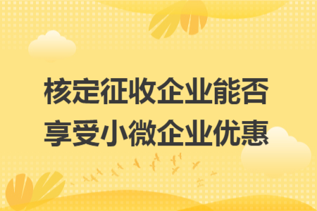 核定征收企业能否享受小微企业优惠