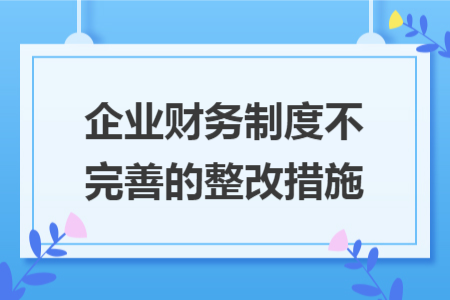 企业财务制度不完善的整改措施