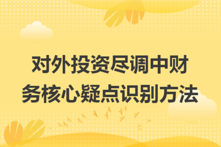 对外投资尽调中财务核心疑点识别方法