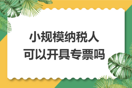 小规模纳税人可以开具专票吗