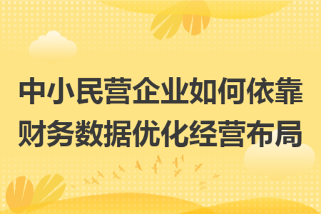 中小民营企业如何依靠财务数据优化经营布局