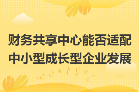财务共享中心能否适配中小型成长型企业发展 财务共享中心能否适配中小型成长型企业发展