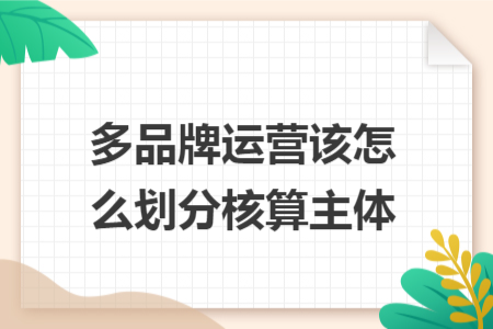 多品牌运营该怎么划分核算主体