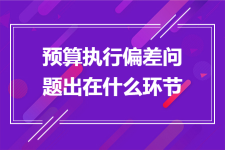 预算执行偏差问题出在什么环节 预算执行偏差问题出在什么环节