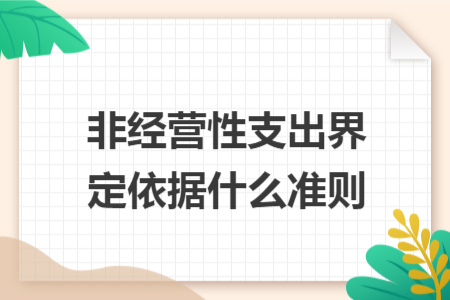 非经营性支出界定依据什么准则
