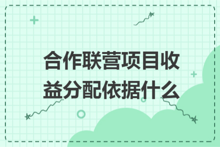合作联营项目收益分配依据什么