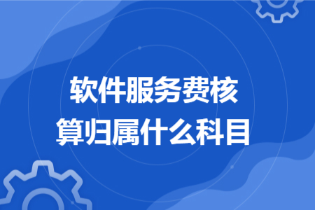 软件服务费核算归属什么科目