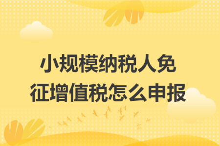 小规模纳税人免征增值税怎么申报
