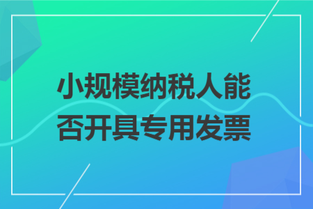 小规模纳税人能否开具专用发票