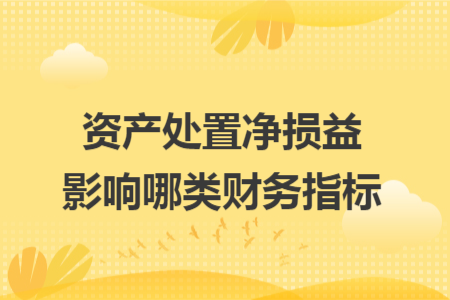 资产处置净损益影响哪类财务指标