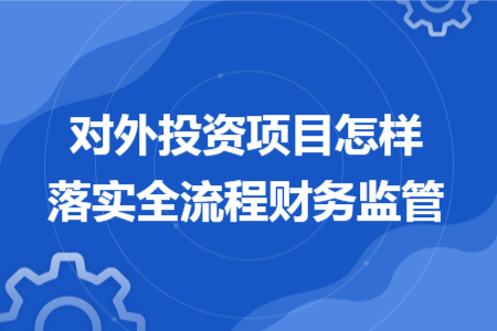 对外投资项目怎样落实全流程财务监管 对外投资项目怎样落实全流程财务监管